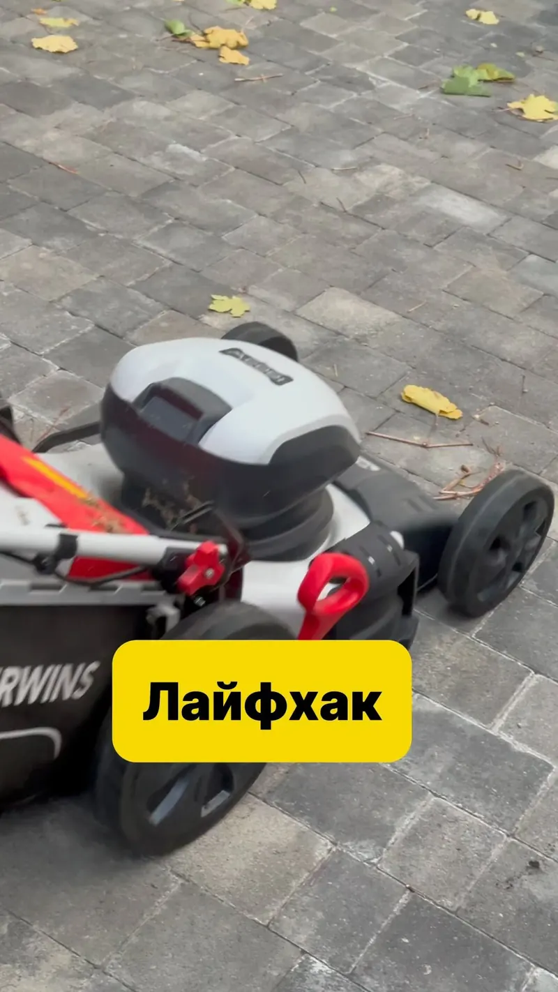 Газонокосилка vs листья и палочки: кто победил