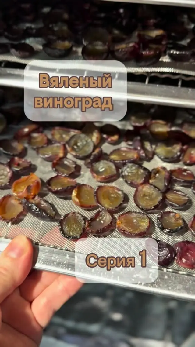Вяленый виноград: не изюм!